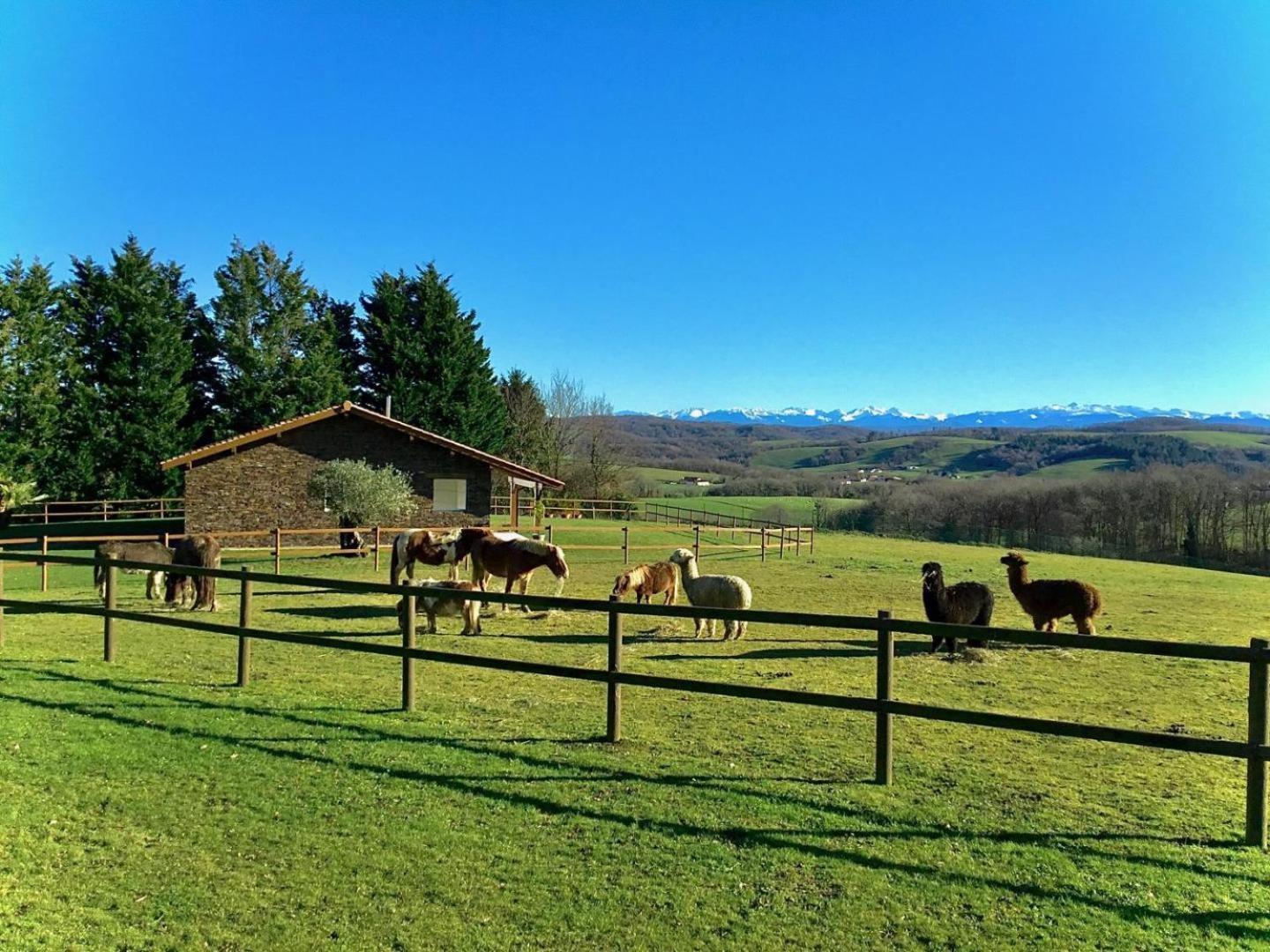 Villa La Bergerie à Bardos Extérieur photo